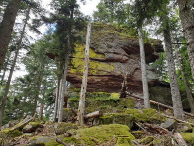 Le Massif du Donon : histoire naturelle et humaine