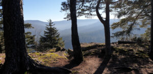 vue du haut d'une montage, des arbre suplombent une vallée recouverte de forêts