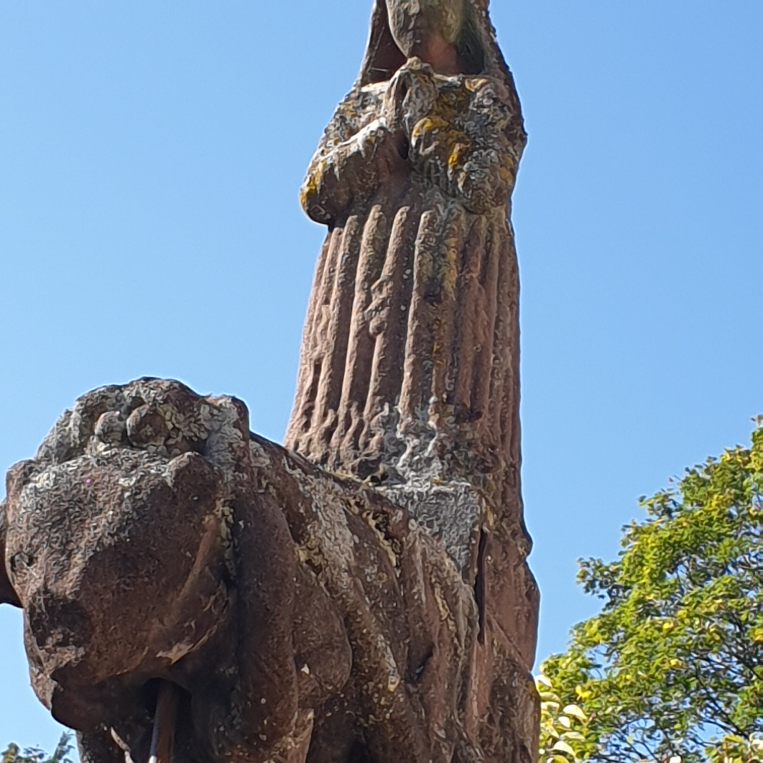 Lorraine. À quand remontent les dernières traces des ours bruns dans les  Vosges ?