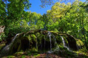 Lire la suite à propos de l’article Le bois sacré de la Sainte Baume, Provence: une forêt d’un intérêt scientifique exceptionnel