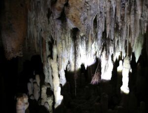 Lire la suite à propos de l’article Une étonnante rencontre dans la Grotte du cerf, gorges de la Cèze