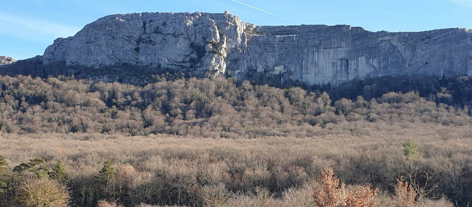 Le bois sacré de la Sainte Baume, Provence une forêt d’un intérêt