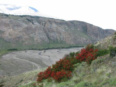 Forêts magellaniques et milieux naturels de Patagonie