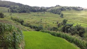 Lire la suite à propos de l’article Le Yunnan, Chine du Sud : une région de toute beauté