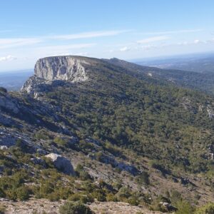Lire la suite à propos de l’article Un haut lieu de naturalité : la montagne Sainte Victoire en Provence 