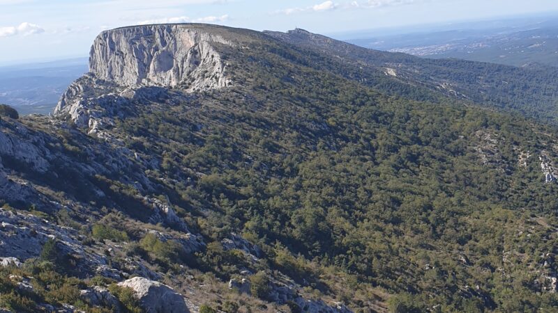 Un haut lieu de naturalité : la montagne Sainte Victoire en Provence 