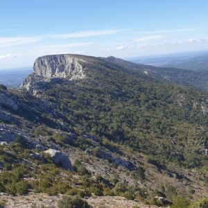 Un haut lieu de naturalité : la montagne Sainte Victoire en Provence 