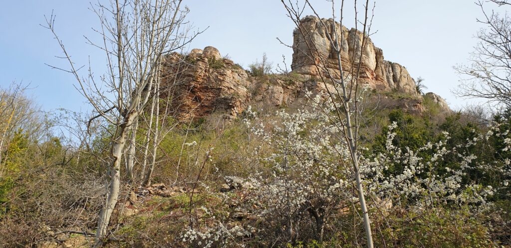 La roche de Solutré, Bourgogne : un site préhistorique de grande valeur, dans une nature en voie de renaturation spontanée