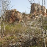 Le rocher de Solutré, Bourgogne : un site préhistorique de grande valeur, dans une nature en voie de renaturation spontanée