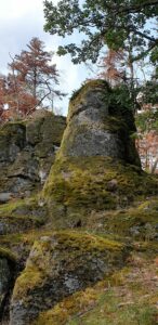 Lire la suite à propos de l’article Les particularités géologiques et forestières de la région entre Wisches-Schirmeck-Granfontaine, vallée de la Bruche
