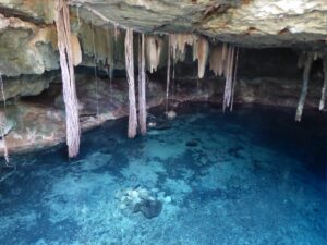 Lire la suite à propos de l’article Somptueux cénotes ou “trous bleus” du Yucatan, Mexique