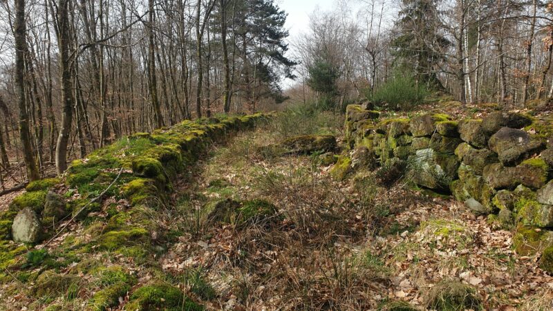 Vestiges archéologiques des forêts entre Saverne et Dabo