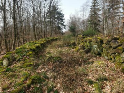 Vestiges archéologiques des forêts entre Saverne et Dabo