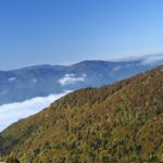 Forêts à haute naturalité des Carpates roumaines : Slatioara et Néra