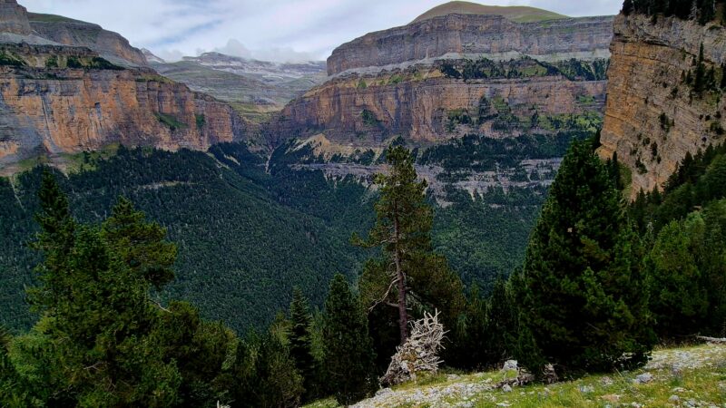 Paysages et forêts naturelles des Pyrénées : Ordesa et Mont perdu