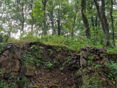 Des sites forestiers d’une richesse insoupçonnée: les « polémoforêts » ou forêts spontanées héritées des zones de combat durant les guerres